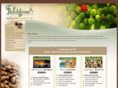 fieldstonecoffee.com