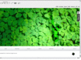 green-tone.com