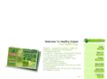 healthykaizen.com