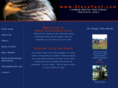 steveyant.com
