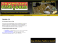 cash4goldav.com