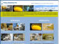 thesischemistry.com