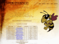 gridironhornets.com