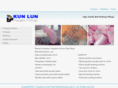 kunlun-pipefittings.com