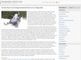 snowmobilepartsclub.com