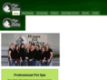 wags2riches.com