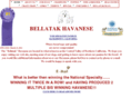 bellahavanese.com