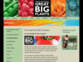 greatbigtomatoes.com