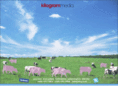 kilogrammedia.com