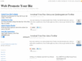 webpromoteyourbiz.com