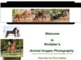 wollaberphotography.com