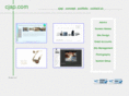 cjap.com