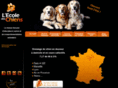 dog-vip.com