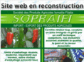 sopraifi-sp.com