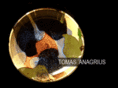 tomasanagrius.com