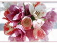 alkhyeyelat.com