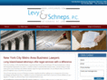 levyschneps.com