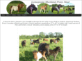 lotuspoint-stud.co.uk