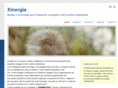 xinergia.it