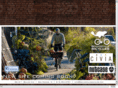 beaverdalebicycles.com