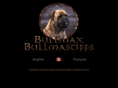 bullmaxbullmastiffs.com