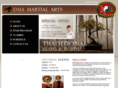 dmamartialarts.com