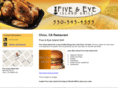 fiveandeye.net
