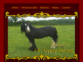 jpgypsyhorses.com