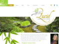 lucidlearning.com