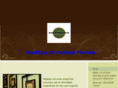 medspaofcentralflorida.com