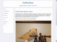 purrfectragdolls.com