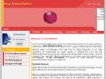 deepsystems.com