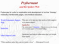 psybernaut.com