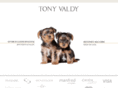 tonyvaldy.com