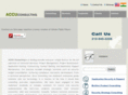 accu-consulting.com