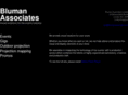 blumanassociates.com