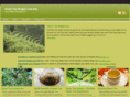 greenteaweightlossinfo.com