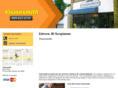 visionsmith1.com