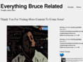 brucewillke.com