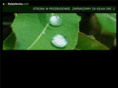e-szkolenia.net