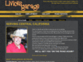 livicksgarage.com