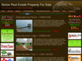 belizerealestatepropertyforsale.com