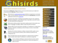 ghisirds.it