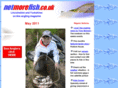netmorefish.co.uk