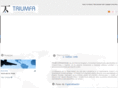 triumfainternacional.com