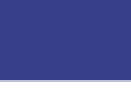 blueloorent.com
