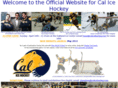 calicehockey.com