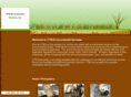 ctmenvironmentalservices.com