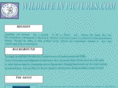 wildlifeinpictures.com