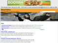 mainepuffins.net
